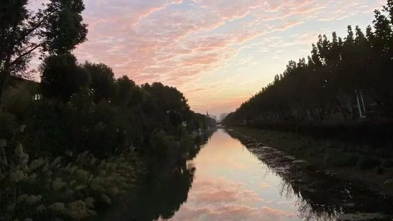 上海企业所得税亏损弥补：流程详解与实操要点