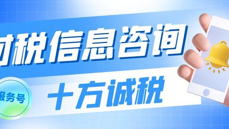 十大财税公司对比分析
